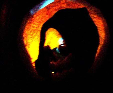 Pumpkin gallery - 19